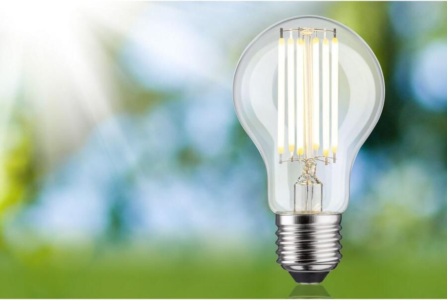 Paulmann Led-verlichting Eco-Line filament 230V LED lamp E27 1-set 1521lm 7 2W 3000K helder (1 stuk) - Foto 4