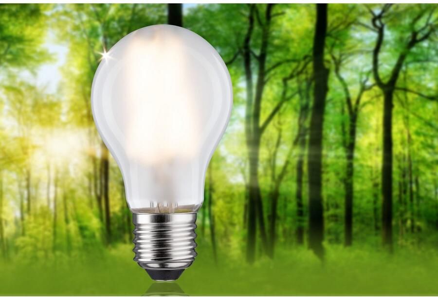 Paulmann Led-verlichting Eco-Line filament 230V LED lamp E27 1-set 840lm 4W 3000K mat (1 stuk) - Foto 8