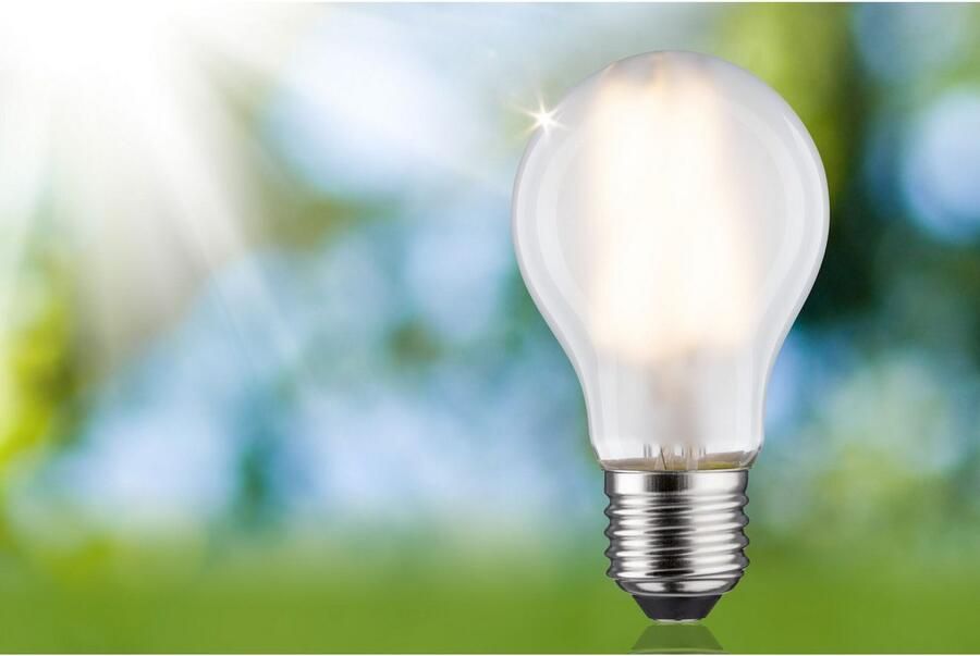 Paulmann Led-verlichting Eco-Line filament 230V LED lamp E27 1-set 840lm 4W 3000K mat (1 stuk) - Foto 4
