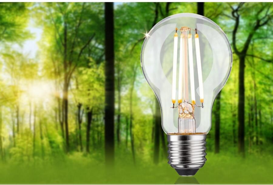 Paulmann Led-verlichting Eco-Line filament 230V LED-lamp E27 1055lm 5 7W 3000K dimbaar helder (1 stuk) - Foto 6