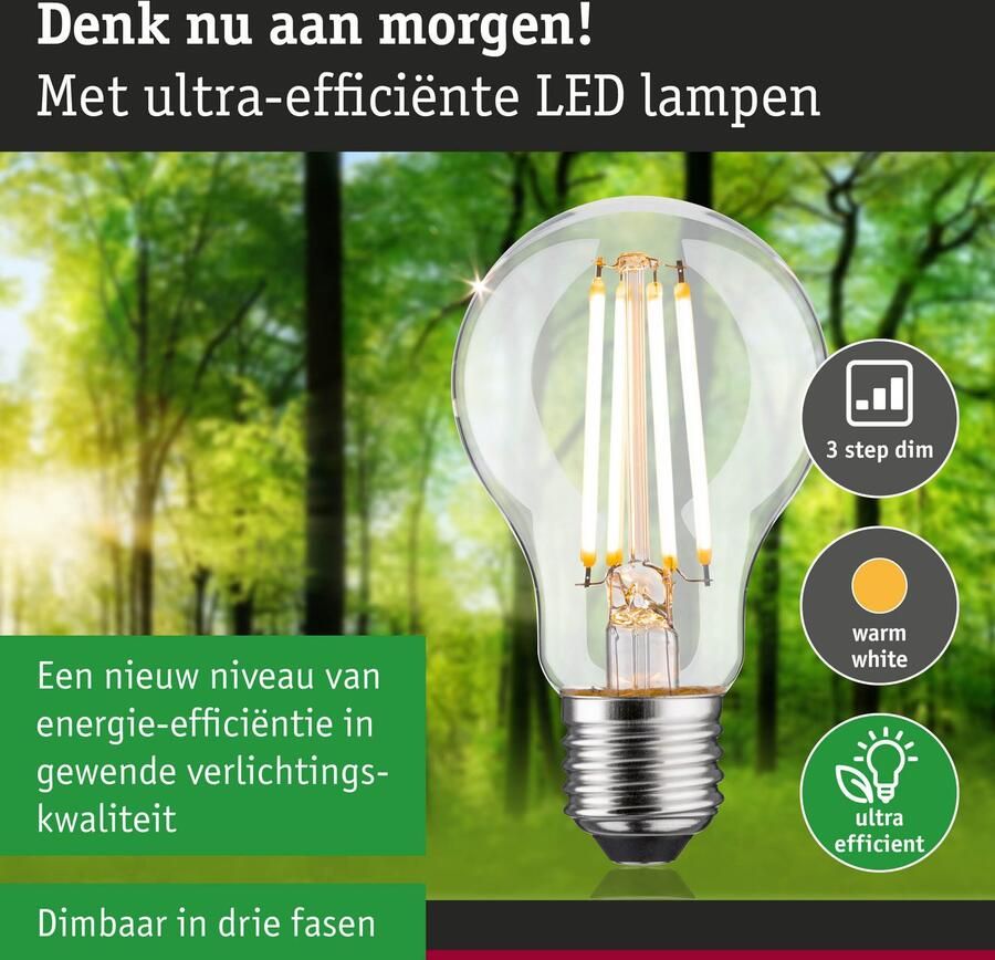 Paulmann Led-verlichting Eco-Line filament 230V LED-lamp E27 1055lm 5 7W 3000K dimbaar helder (1 stuk) - Foto 2