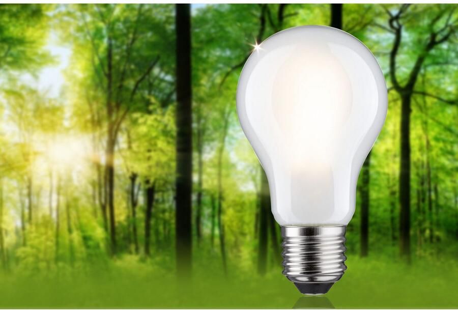 Paulmann Led-verlichting Eco-Line filament 230V LED-lamp E27 1055lm 5 7W 3000K dimbaar mat (1 stuk) - Foto 6