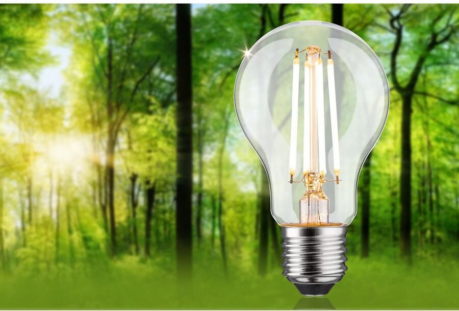 Paulmann Led-verlichting Eco-Line filament 230V LED-lamp E27 1521lm 8 2W 3000K dimbaar helder (1 stuk) - Foto 6