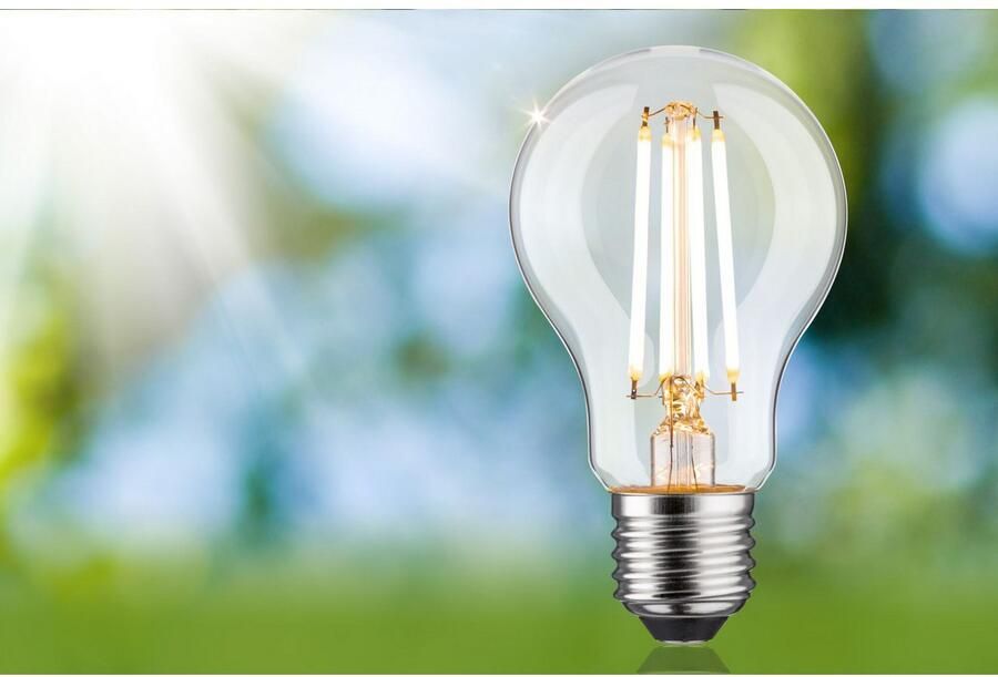 Paulmann Led-verlichting Eco-Line filament 230V LED-lamp E27 1521lm 8 2W 3000K dimbaar helder (1 stuk) - Foto 5