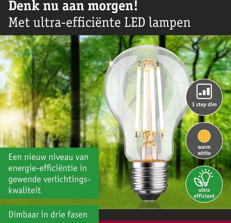 Paulmann Led-verlichting Eco-Line filament 230V LED-lamp E27 1521lm 8 2W 3000K dimbaar helder (1 stuk) - Foto 2