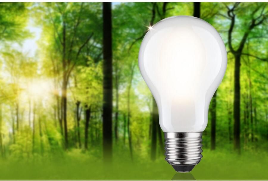Paulmann Led-verlichting Eco-Line filament 230V LED-lamp E27 1521lm 8 2W 3000K dimbaar mat (1 stuk) - Foto 5