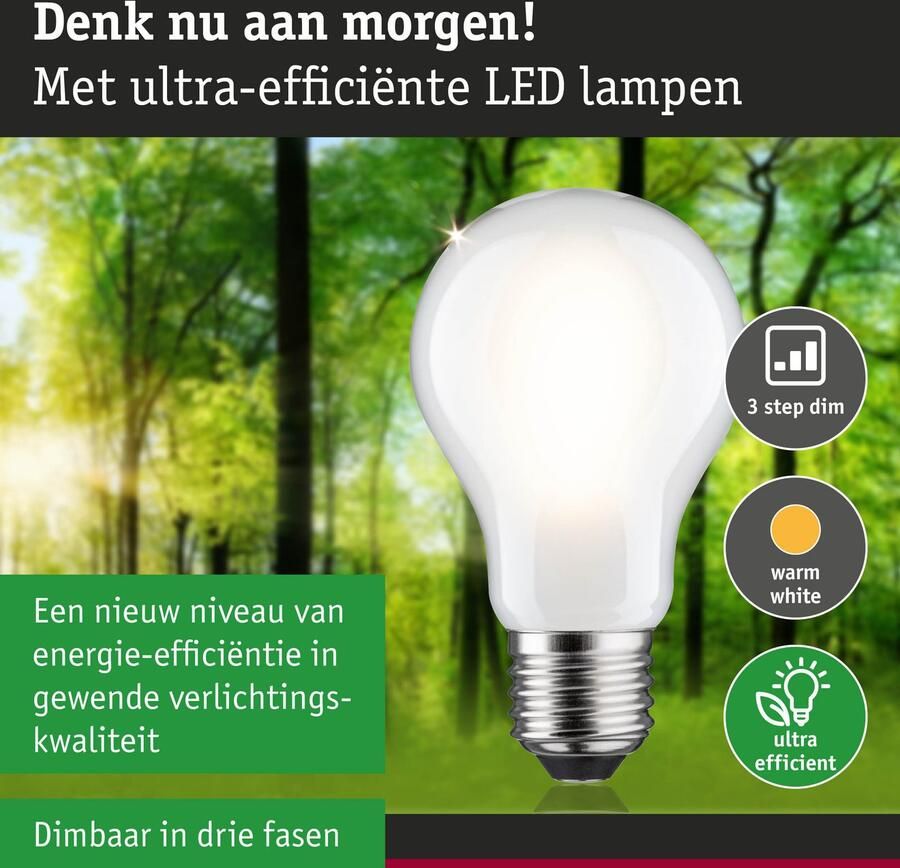 Paulmann Led-verlichting Eco-Line filament 230V LED-lamp E27 1521lm 8 2W 3000K dimbaar mat (1 stuk)