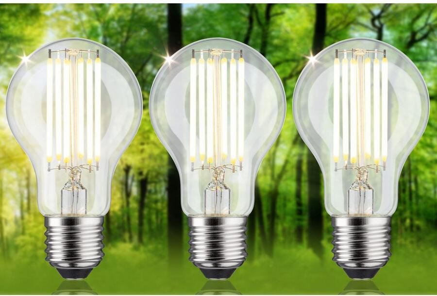 Paulmann Led-verlichting Eco-Line filament 230V LED lamp E27 3-pack 1055lm 5W 3000K helder (3 stuks) - Foto 8