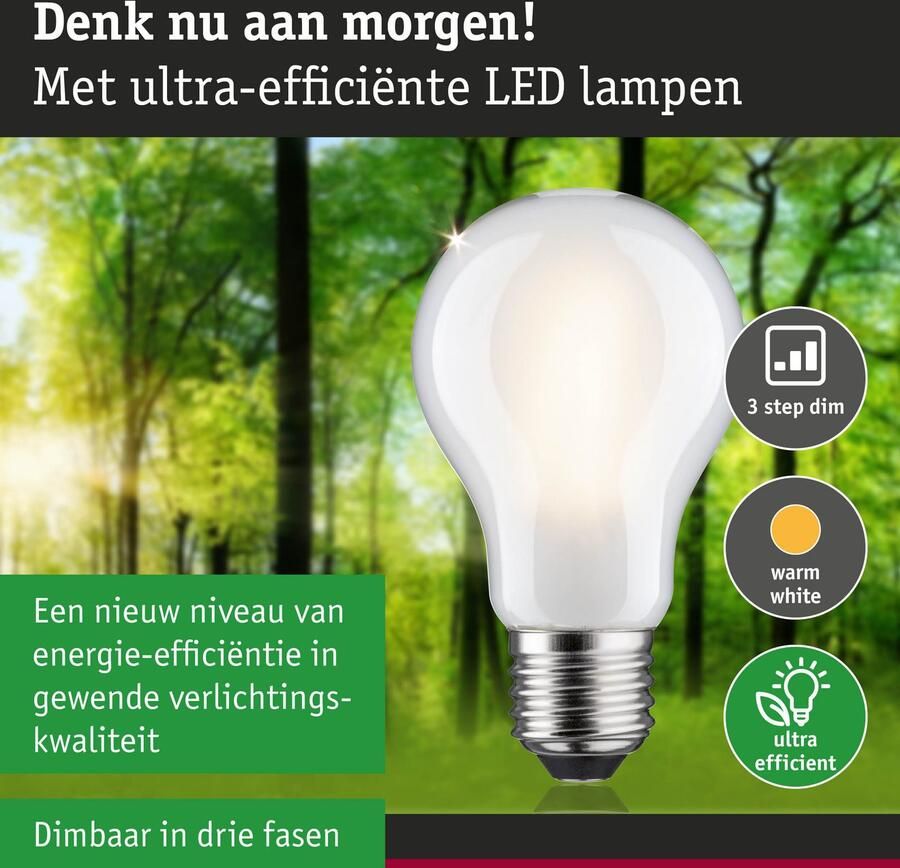 Paulmann Led-verlichting Eco-Line filament 230V LED-lamp E27 470lm 2 5W 3000K dimbaar mat (1 stuk) - Foto 3