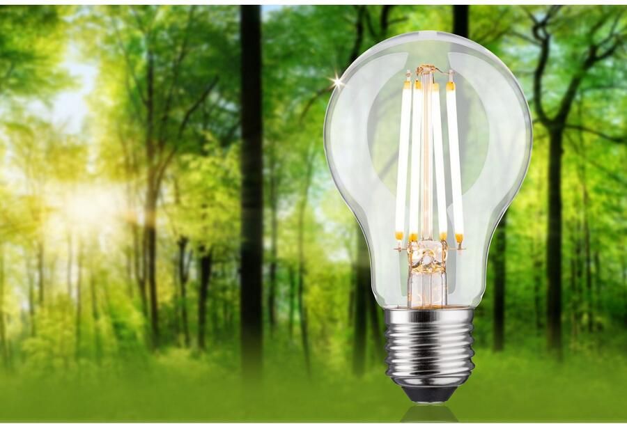 Paulmann Led-verlichting Eco-Line filament 230V LED-lamp E27 806lm 4 3W 3000K dimbaar helder (1 stuk) - Foto 6