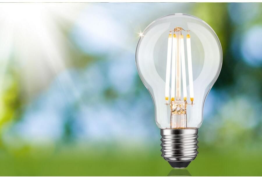 Paulmann Led-verlichting Eco-Line filament 230V LED-lamp E27 806lm 4 3W 3000K dimbaar helder (1 stuk) - Foto 5