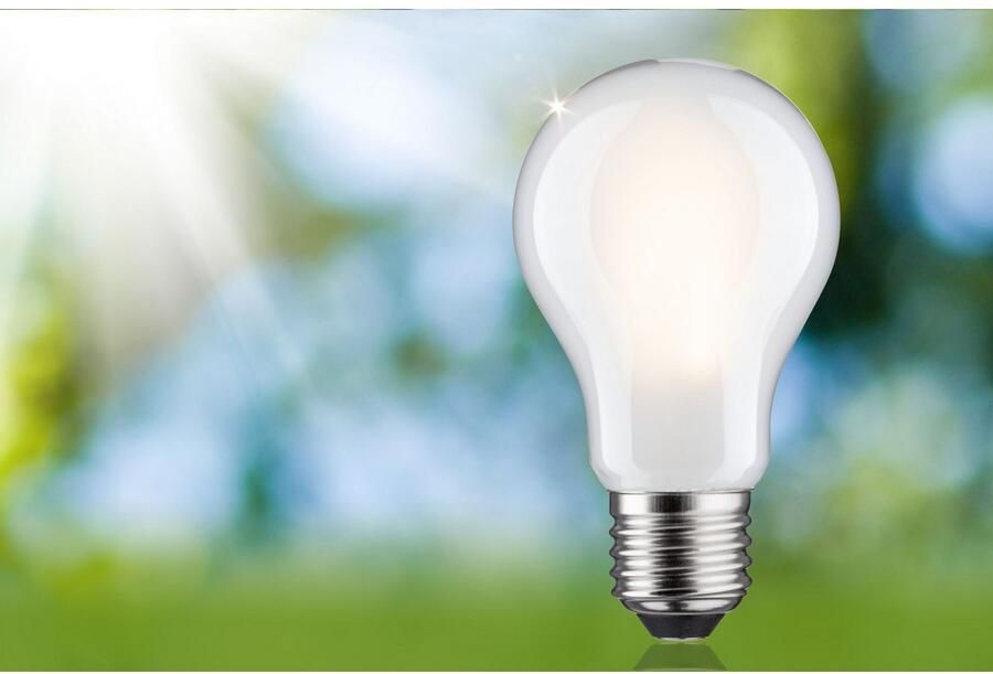 Paulmann Led-verlichting Eco-Line filament 230V LED-lamp E27 806lm 4 3W 3000K dimbaar mat (1 stuk) - Foto 6