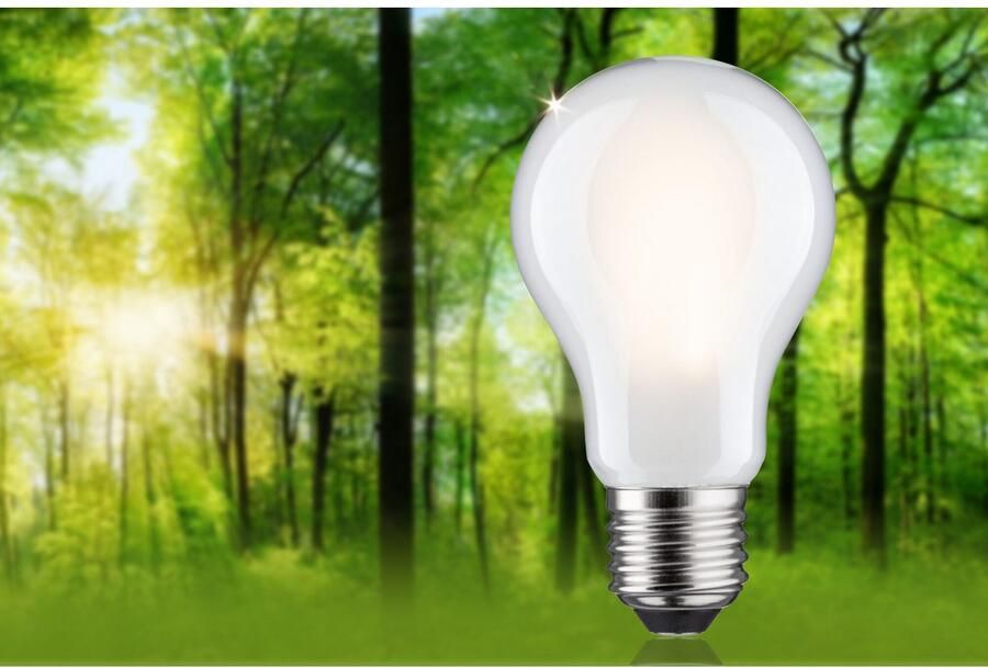 Paulmann Led-verlichting Eco-Line filament 230V LED-lamp E27 806lm 4 3W 3000K dimbaar mat (1 stuk) - Foto 7