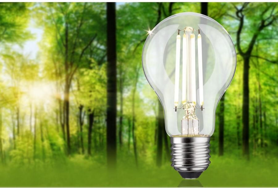 Paulmann Led-verlichting Eco-Line filament 230V LED-lamp E27 806lm 4 3W 4000K dimbaar helder (1 stuk) - Foto 6