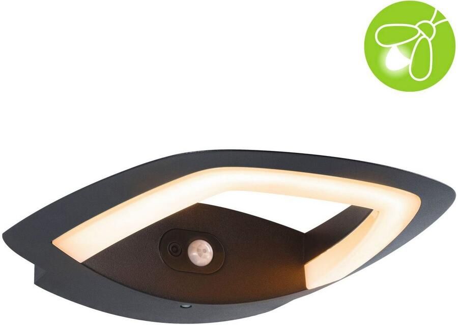 Paulmann Led-wandlamp voor buiten 230V Akena PIR Insect friendly Antraciet - Foto 4