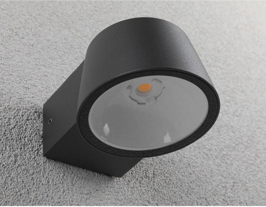 Paulmann Led-wandlamp voor buiten 230V Capea Aluminium Antraciet Insect friendly (1 stuk) - Foto 2