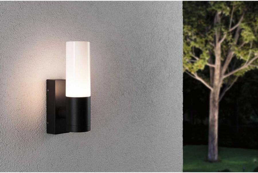 Paulmann Led-wandlamp voor buiten 230V Tralia E27 IP44 Antraciet (1 stuk)