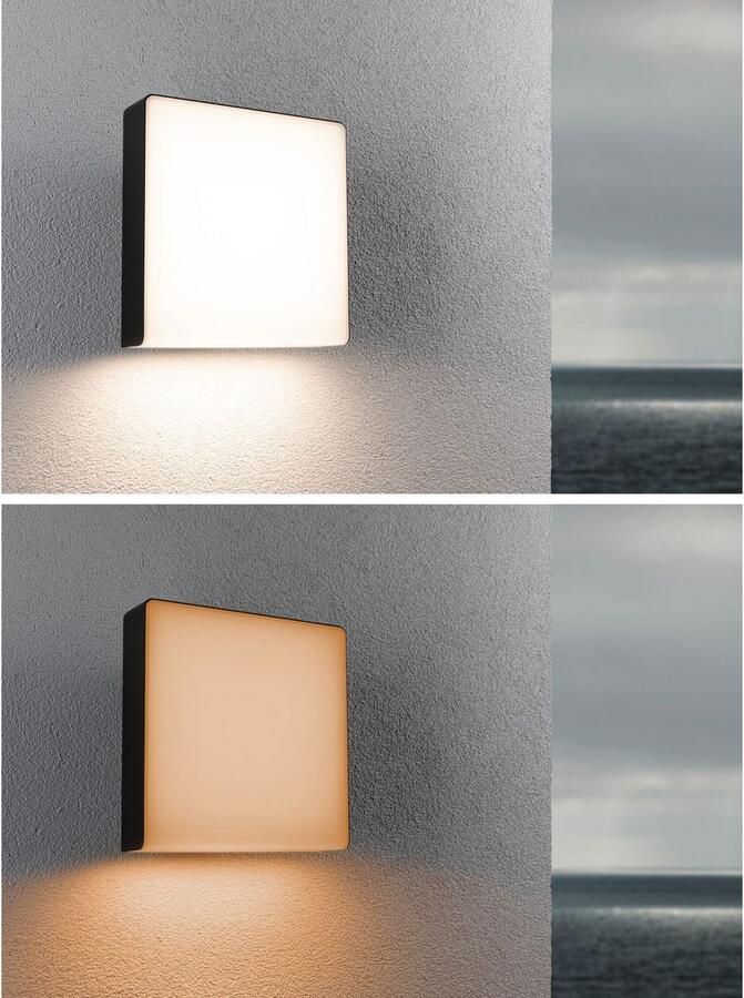 Paulmann Led-wandlamp voor buiten Azalena IP44 250x97mm 8 5W 700lm 230V kunststof aluminium Smart Home Zigbee 3.0 bewegingssensor met hoogfrequentiesensor (1 stuk) - Foto 3