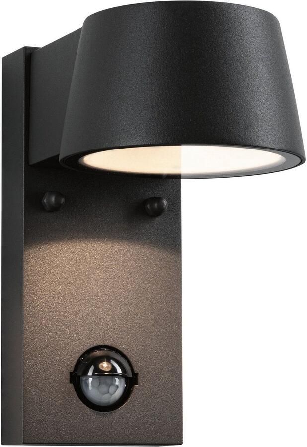 Paulmann Led-wandlamp voor buiten Capea IP44 96x153mm 3000K 6W 500lm 230V antraciet aluminium (1 stuk)