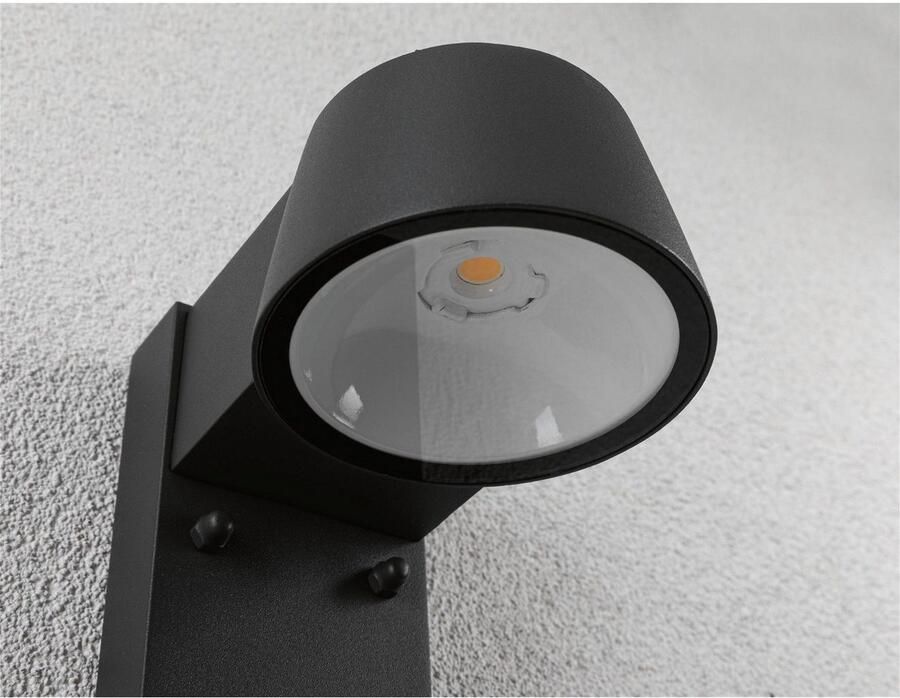 Paulmann Led-wandlamp voor buiten Capea IP44 96x153mm 3000K 6W 500lm 230V antraciet aluminium (1 stuk) - Foto 2