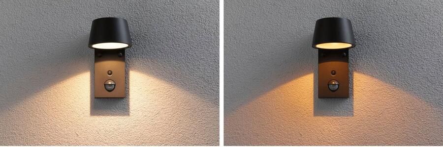 Paulmann Wandlamp voor buiten Capea insectvriendelijk (1 stuk) - Foto 9