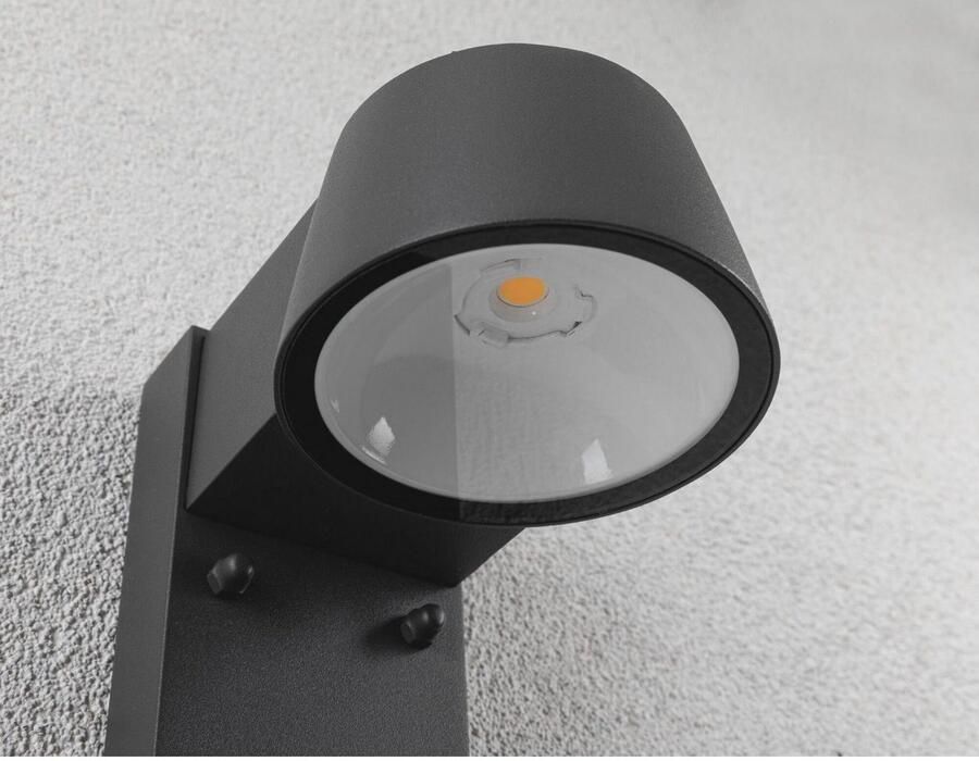 Paulmann Wandlamp voor buiten Capea insectvriendelijk (1 stuk) - Foto 3