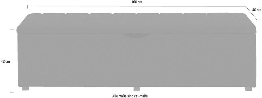 Places of Style Hockerbank Checked met bergruimte breedte 120 cm en 160 cm als bedbank te gebruiken - Foto 2