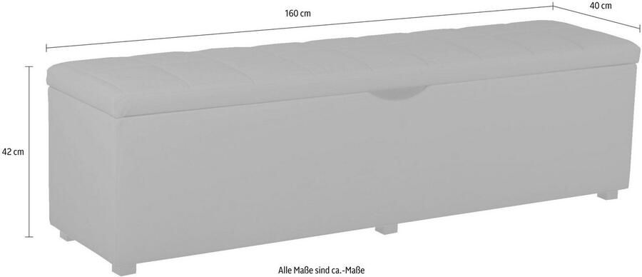 Places of Style Hockerbank Checked met bergruimte breedte 120 cm en 160 cm als bedbank te gebruiken - Foto 6