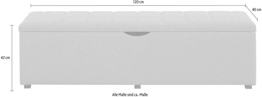 Places of Style Hockerbank Checked met bergruimte breedte 120 cm en 160 cm als bedbank te gebruiken - Foto 2