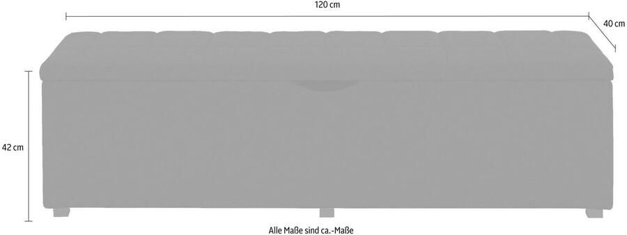Places of Style Hockerbank Checked met bergruimte breedte 120 cm en 160 cm als bedbank te gebruiken - Foto 2