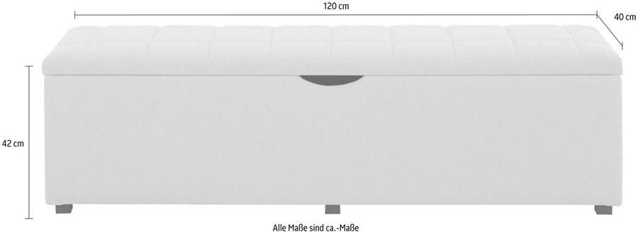 Places of Style Hockerbank Checked met bergruimte breedte 120 cm en 160 cm als bedbank te gebruiken - Foto 2