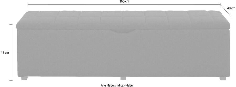 Places of Style Hockerbank Checked met bergruimte breedte 120 cm en 160 cm als bedbank te gebruiken - Foto 2