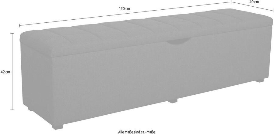 Places of Style Hockerbank Checked met bergruimte breedte 120 cm en 160 cm als bedbank te gebruiken - Foto 3