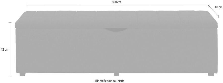 Places of Style Hockerbank Checked met bergruimte breedte 120 cm en 160 cm als bedbank te gebruiken - Foto 2