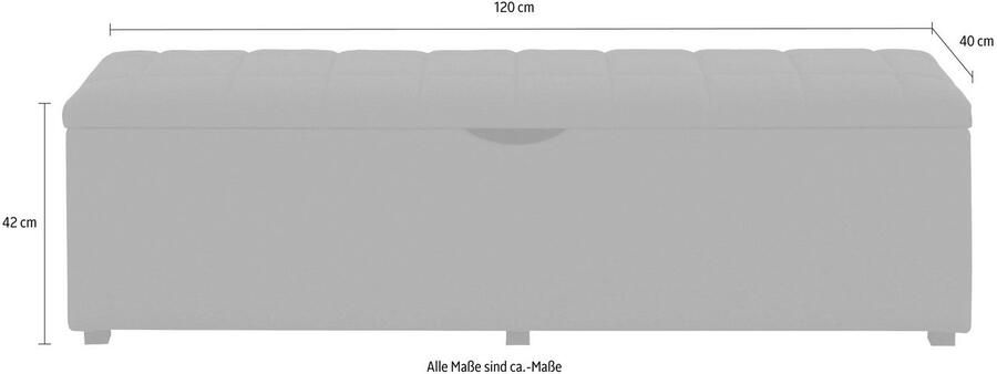 Places of Style Hockerbank Checked met bergruimte breedte 120 cm en 160 cm als bedbank te gebruiken - Foto 2