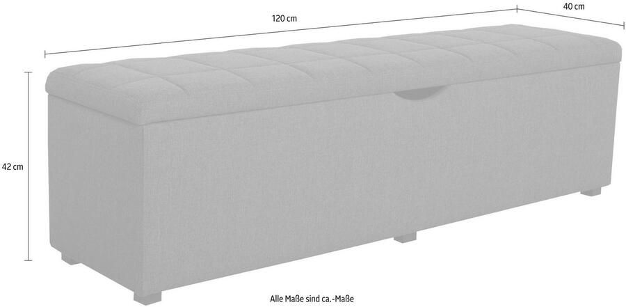 Places of Style Hockerbank Checked met bergruimte breedte 120 cm en 160 cm als bedbank te gebruiken - Foto 3