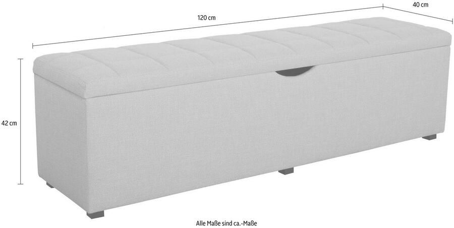 Places of Style Hockerbank Checked met bergruimte breedte 120 cm en 160 cm als bedbank te gebruiken - Foto 3