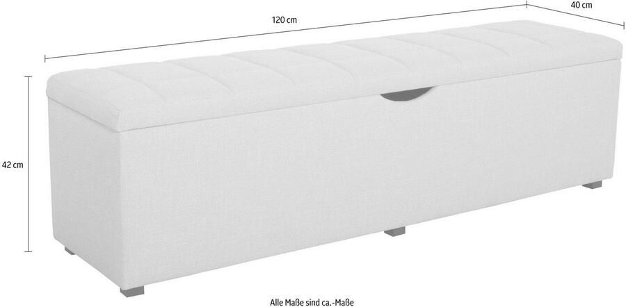 Places of Style Hockerbank Checked met bergruimte breedte 120 cm en 160 cm als bedbank te gebruiken - Foto 3