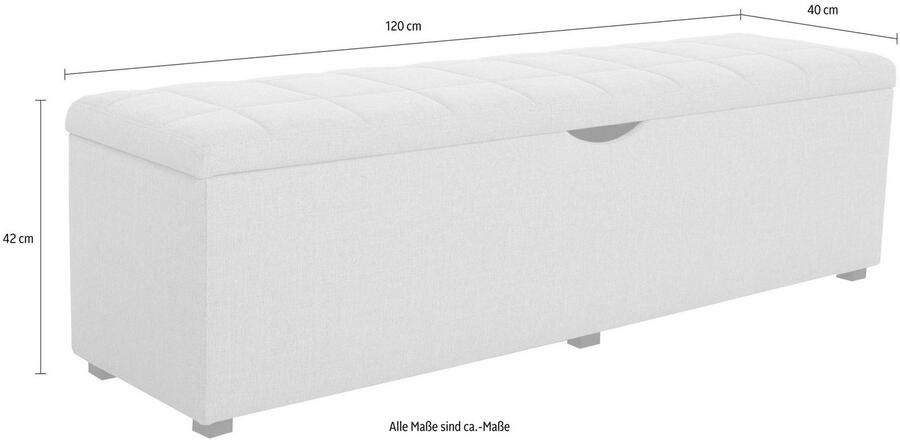 Places of Style Hockerbank Checked met bergruimte breedte 120 cm en 160 cm als bedbank te gebruiken - Foto 3