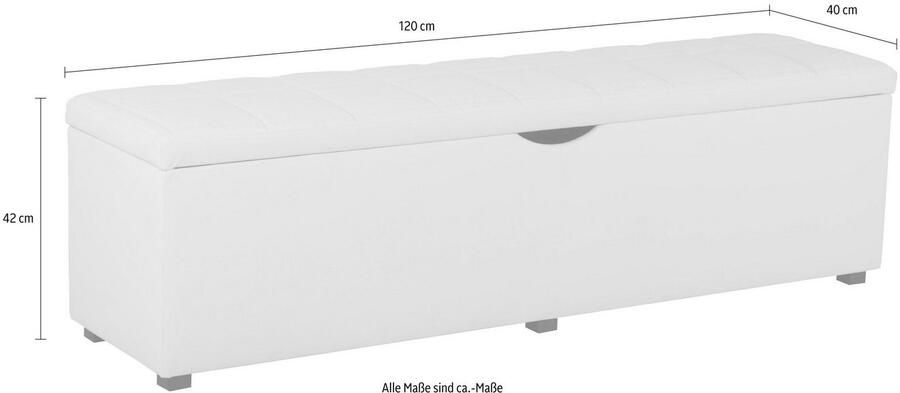 Places of Style Hockerbank Checked met bergruimte breedte 120 cm en 160 cm als bedbank te gebruiken - Foto 7