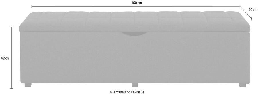 Places of Style Hockerbank Checked met bergruimte breedte 120 cm en 160 cm als bedbank te gebruiken - Foto 2
