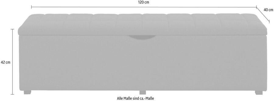 Places of Style Hockerbank Checked met bergruimte breedte 120 cm en 160 cm als bedbank te gebruiken - Foto 2