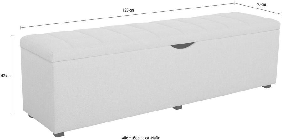 Places of Style Hockerbank Checked met bergruimte breedte 120 cm en 160 cm als bedbank te gebruiken - Foto 3