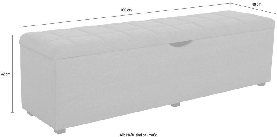 Places of Style Hockerbank Checked met bergruimte breedte 120 cm en 160 cm als bedbank te gebruiken - Foto 3