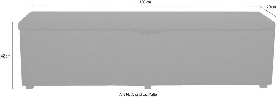 Places of Style Hockerbank Standaard Breedte 120 cm of 160 cm ook als garderobebank of bedbank - Foto 4