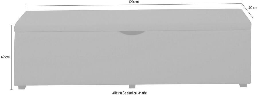 Places of Style Hockerbank Standaard Breedte 120 cm of 160 cm ook als garderobebank of bedbank - Foto 3