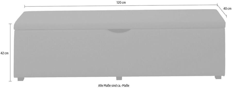 Places of Style Hockerbank Standaard Breedte 120 cm of 160 cm ook als garderobebank of bedbank - Foto 3