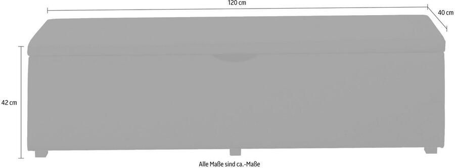 Places of Style Hockerbank Standaard Breedte 120 cm of 160 cm ook als garderobebank of bedbank - Foto 3