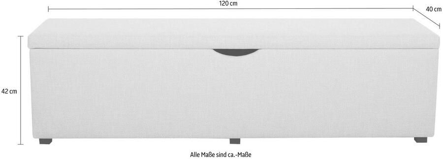 Places of Style Hockerbank Standaard Breedte 120 cm of 160 cm ook als garderobebank of bedbank - Foto 4