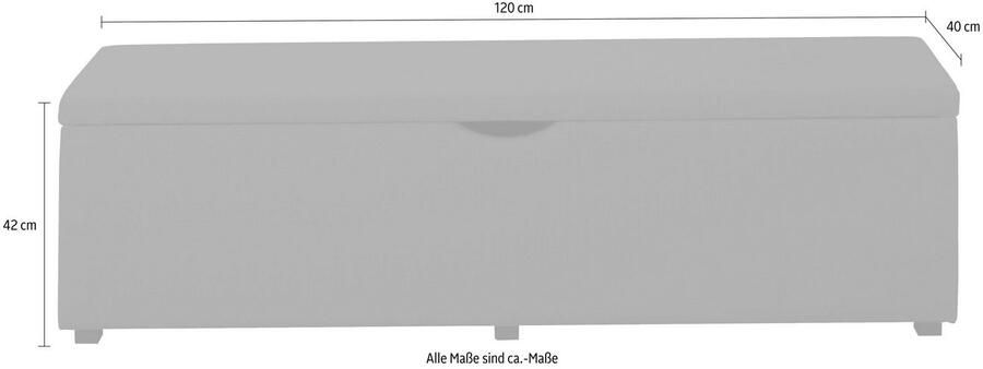 Places of Style Hockerbank Standaard Breedte 120 cm of 160 cm ook als garderobebank of bedbank - Foto 3